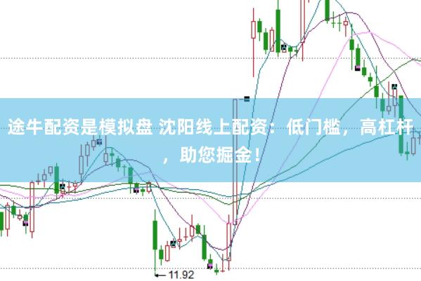 途牛配资是模拟盘 沈阳线上配资：低门槛，高杠杆，助您掘金！