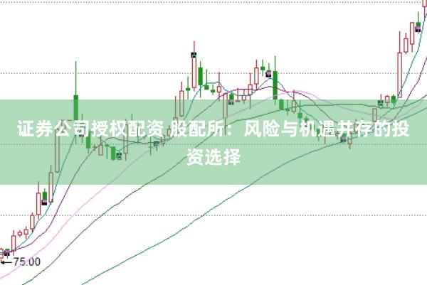 证券公司授权配资 股配所：风险与机遇并存的投资选择