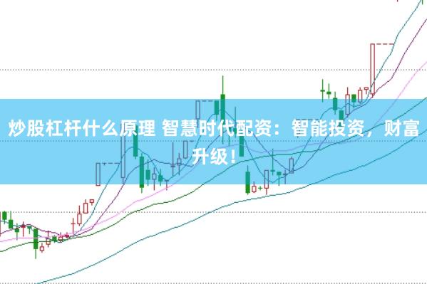 炒股杠杆什么原理 智慧时代配资：智能投资，财富升级！