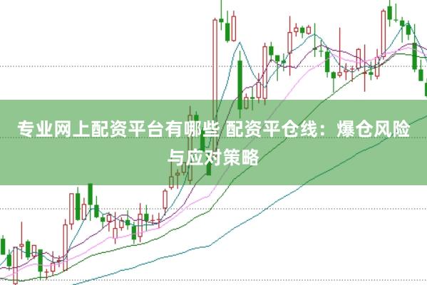 专业网上配资平台有哪些 配资平仓线：爆仓风险与应对策略