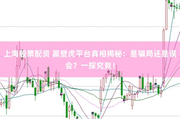 上海股票配资 赢壁虎平台真相揭秘：是骗局还是误会？一探究竟！