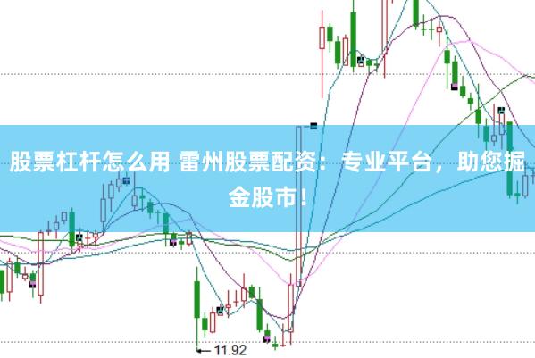 股票杠杆怎么用 雷州股票配资：专业平台，助您掘金股市！