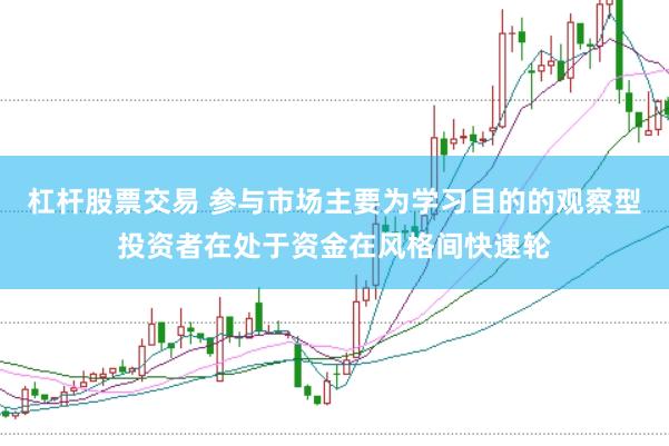 杠杆股票交易 参与市场主要为学习目的的观察型投资者在处于资金在风格间快速轮