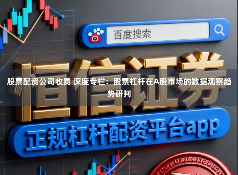 股票配资公司收费 深度专栏：股票杠杆在A股市场的数据观察趋势研判